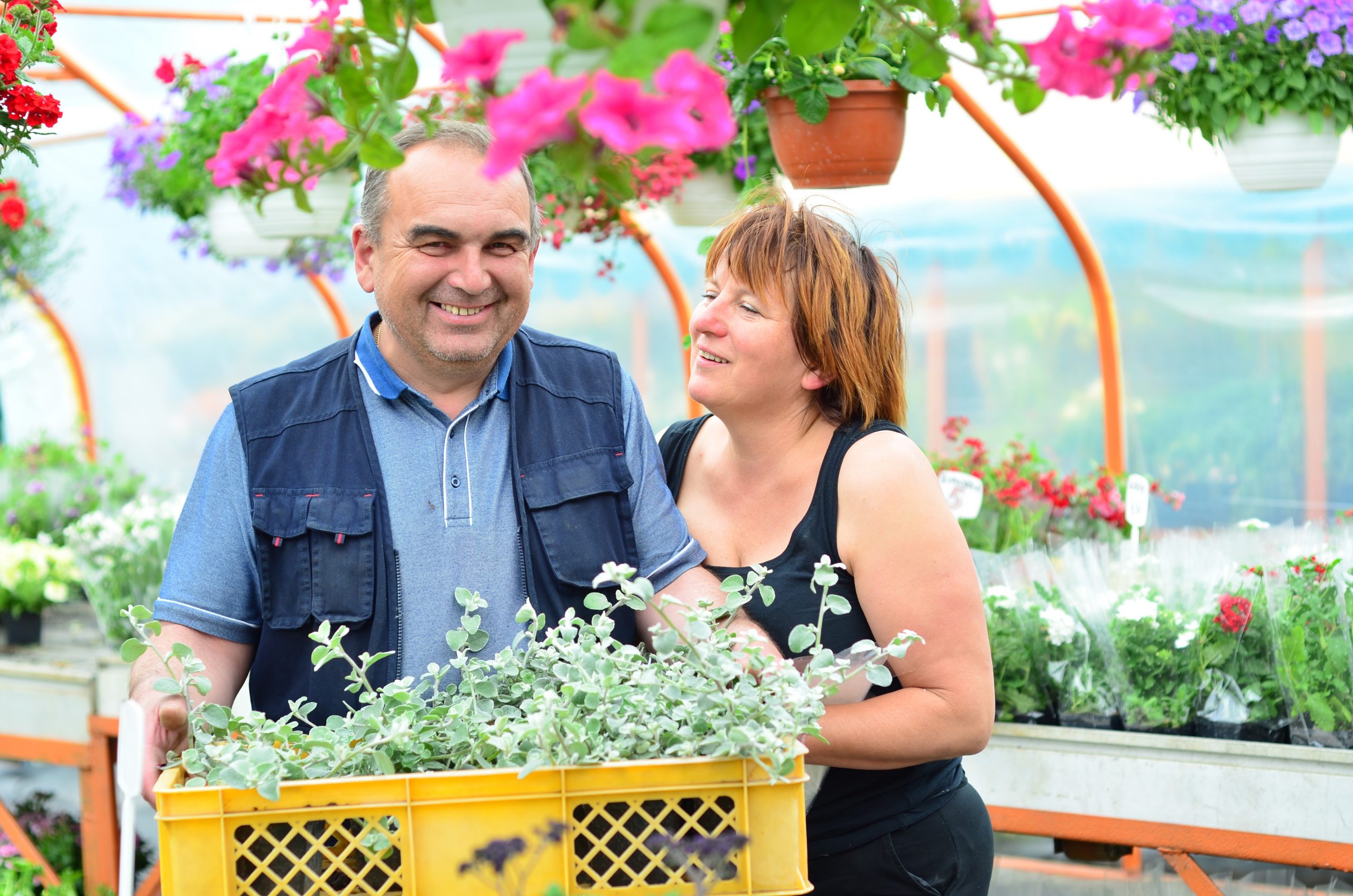 Nasze rodzinne gospodarstwo ogrodnicze